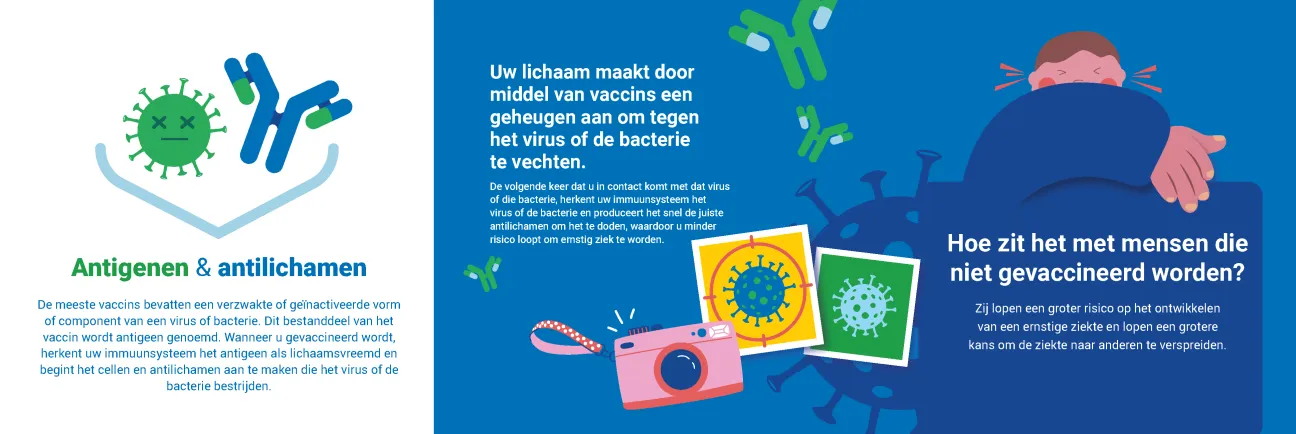 Vaccins beschermen u. Maar hoe werken ze? 2