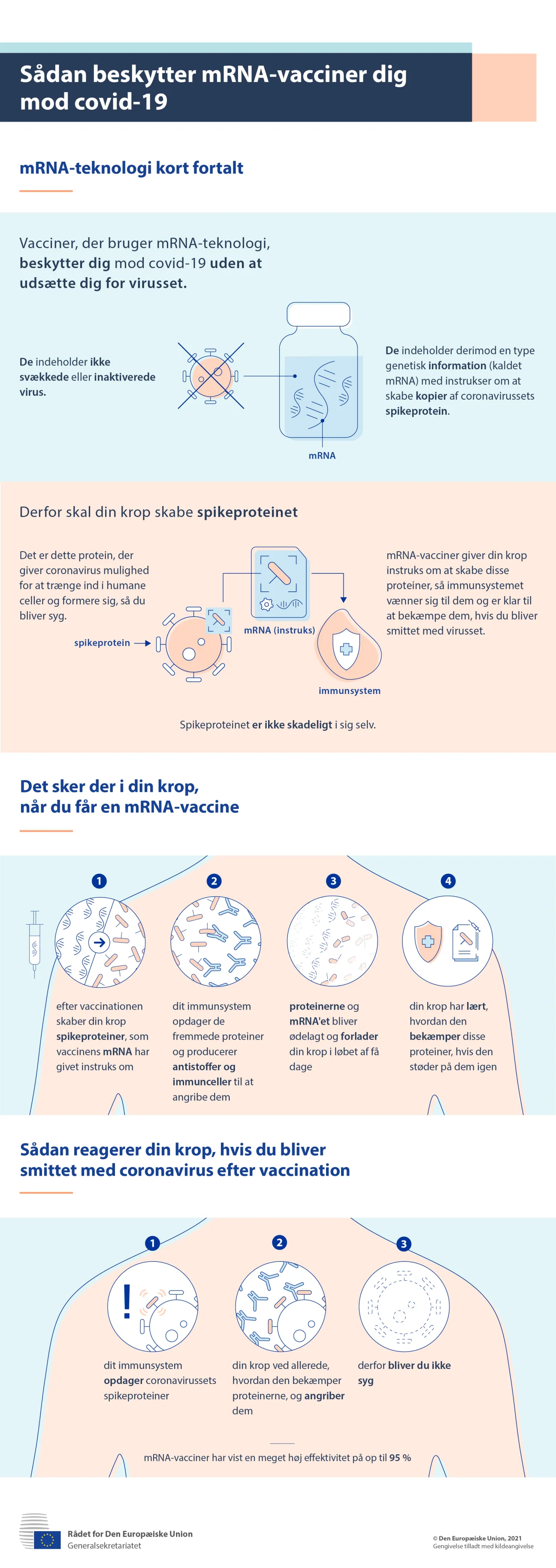 Infografik: Sådan beskytter mRNA-vacciner dig mod covid-199	
