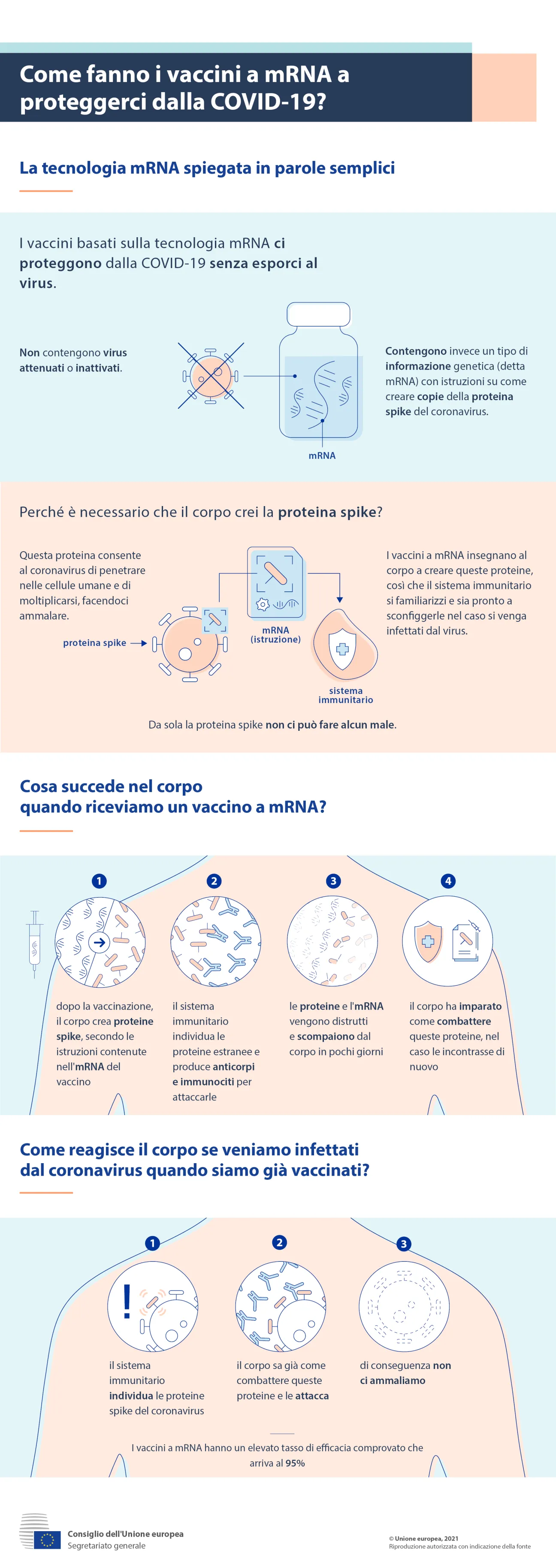 Infografica - Come fanno i vaccini a mRNA a proteggerci dalla COVID-19?
