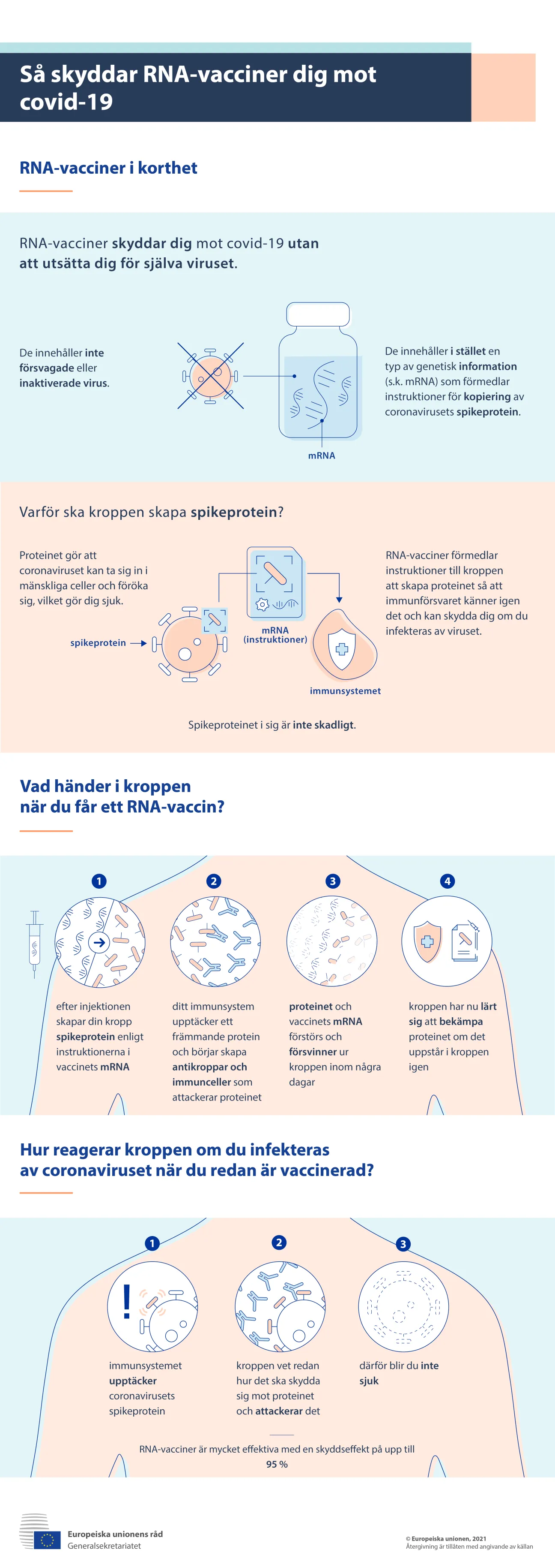 Infografik: Så skyddar mRNA-vacciner mot covid-19