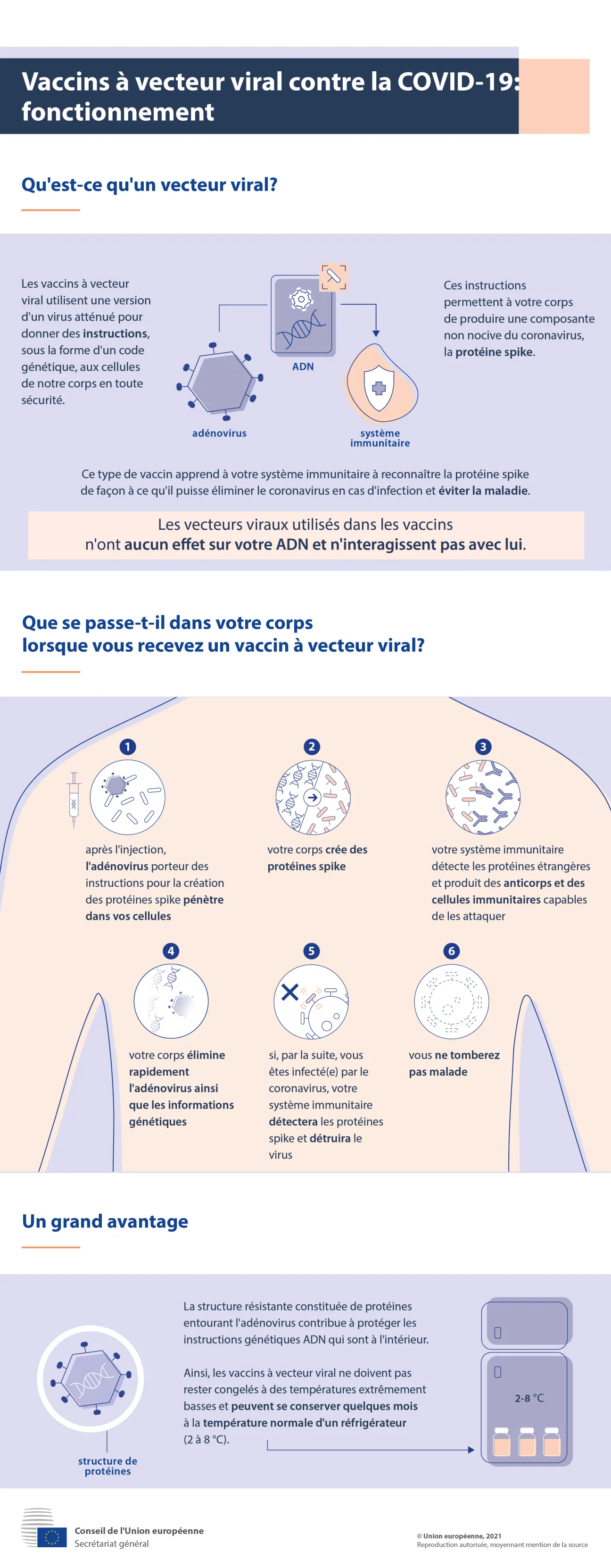 Infographie - Les vaccins à vecteur viral contre la COVID-19: comment fonctionnent-ils?