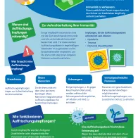 Erweitern Sie Ihr Wissen über Auffrischungsimpfungen