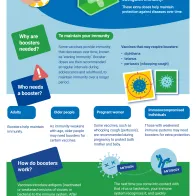 Boost your knowledge about vaccine boosters