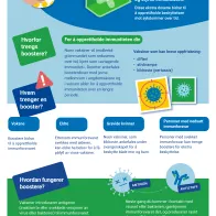 Øk kunnskapen din om vaksineboostere