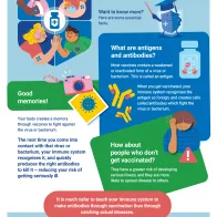 Vaccines protect you. But how do they work?