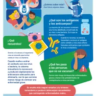 Las vacunas te protegen. Pero, ¿cómo funcionan?