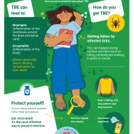 Prepared for tick season? Protect yourself from TBE