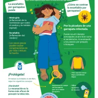 ¿Todo listo para la temporada de garrapatas? Protégete de la encefalitis por garrapatas