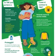 Sei pronto per la stagione delle zecche? Proteggiti dalla TBE