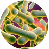 Diphtheria thumbnail