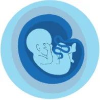 vaccination during pregnancy