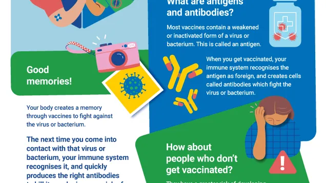Vaccines protect you. But how do they work?