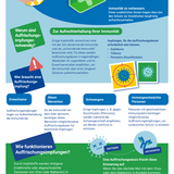 Erweitern Sie Ihr Wissen über Auffrischungsimpfungen