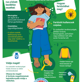 Felkészült a kullancsszezonra? Védje magát az FSME-vírus ellen