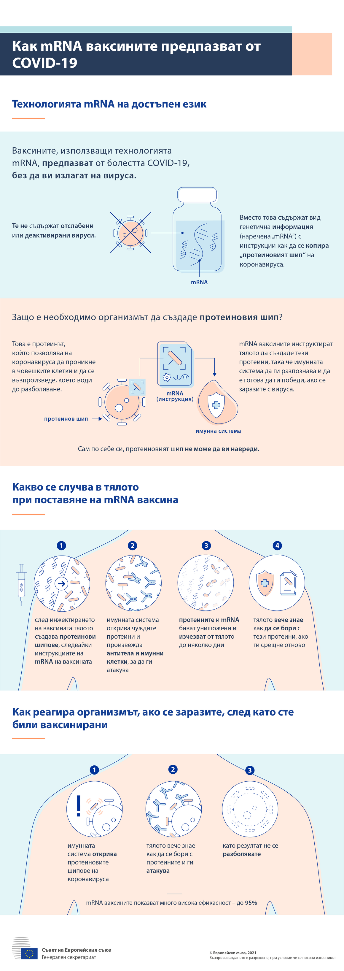 Инфографика: Как иРНК ваксините предпазват от COVID-19