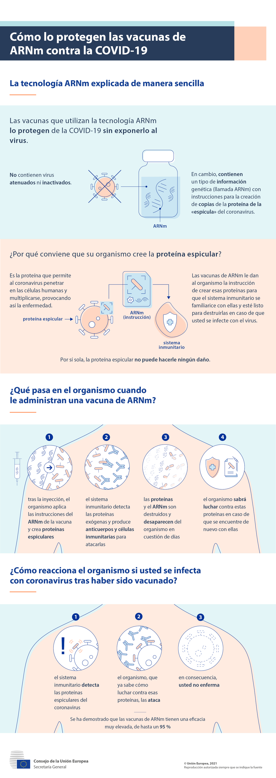 Infografía: Cómo lo protegen las vacunas de ARNm contra la COVID-19