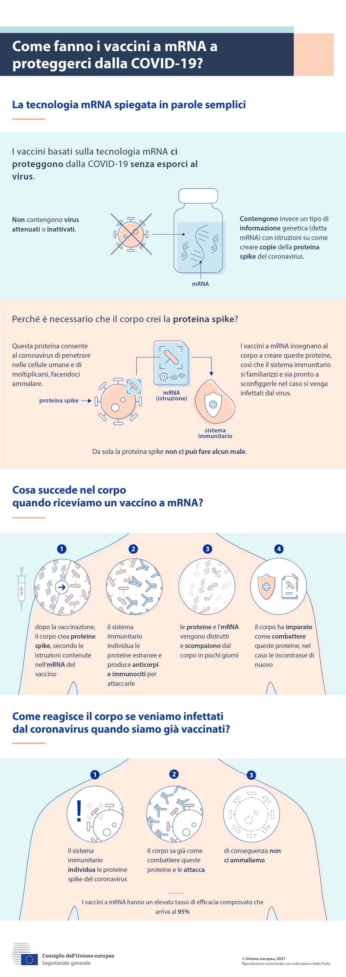 Infografica - Come fanno i vaccini a mRNA a proteggerci dalla COVID-19?