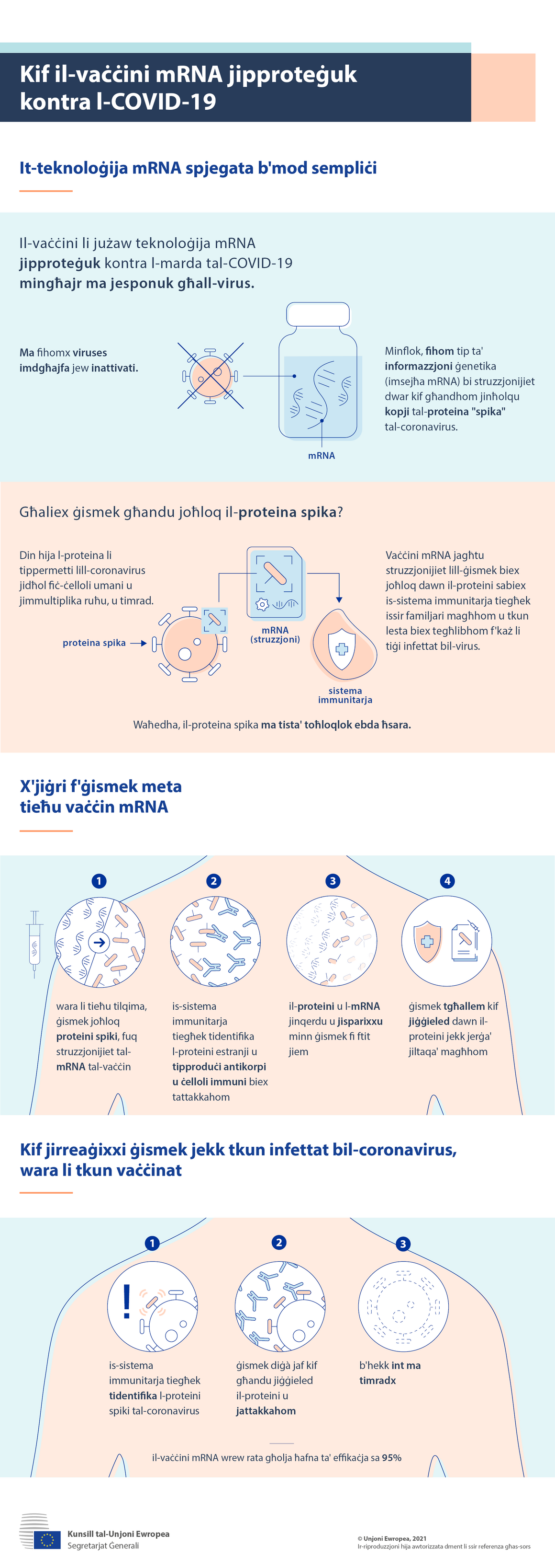 Infografika: Kif il-vaċċini mRNA jipproteġuk kontra l-COVID-19