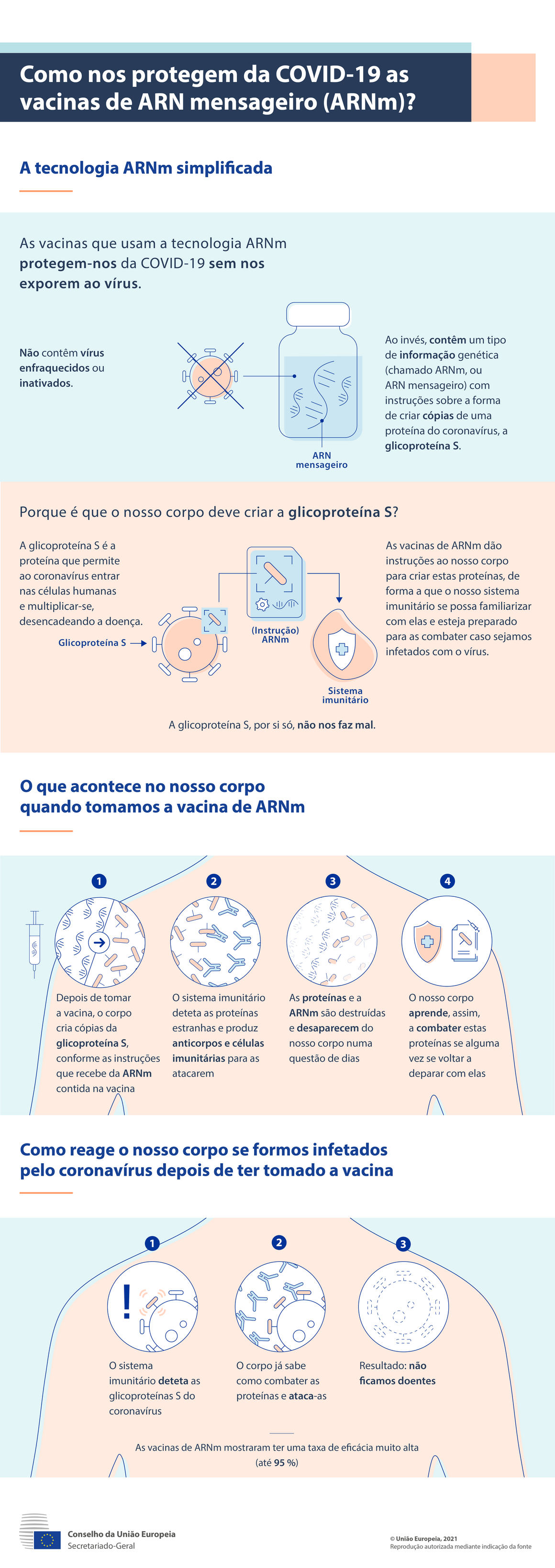 Infografia: Como nos protegem da COVID-19 as vacinas de ARN mensageiro (ARNm)?