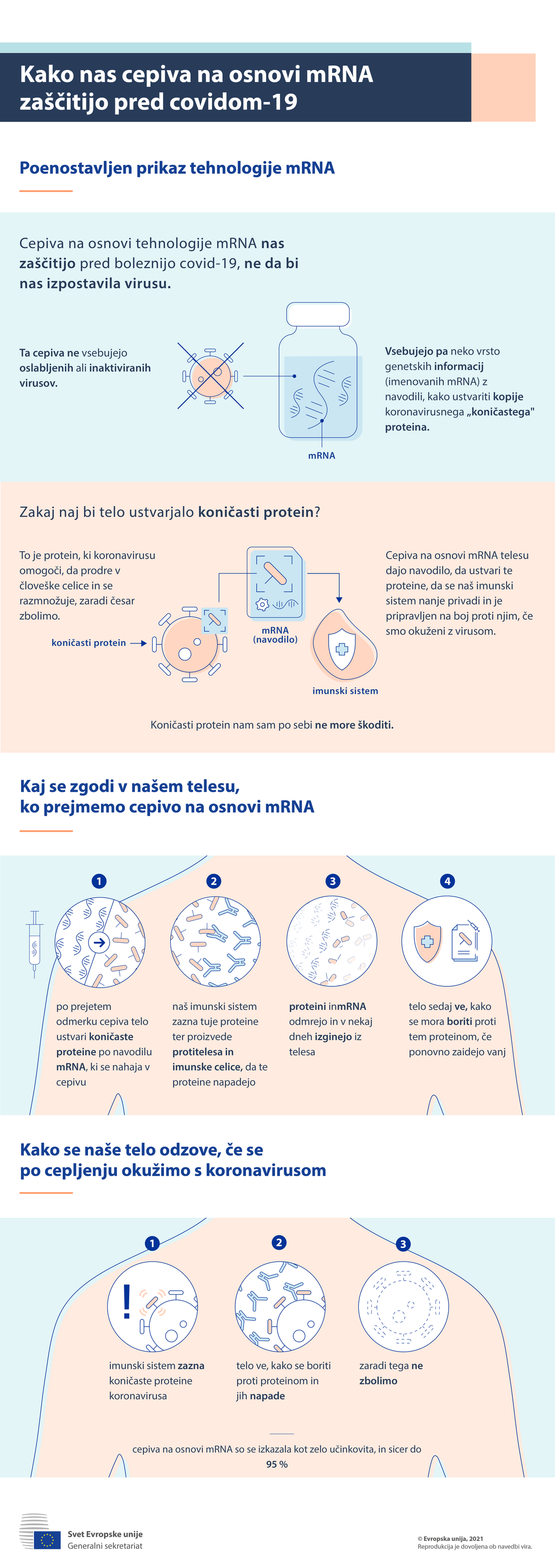 Infografika – Kako nas cepiva na osnovi mRNK zaščitijo pred covidom-19?