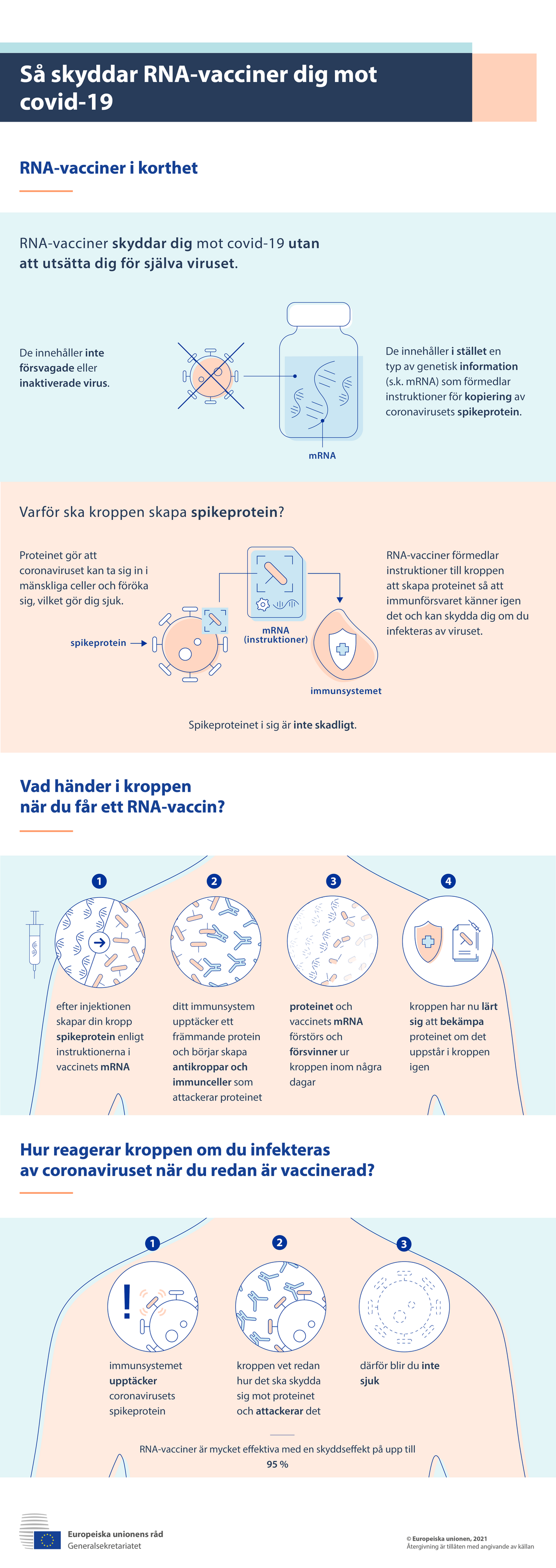 Infografik: Så skyddar mRNA-vacciner mot covid-19