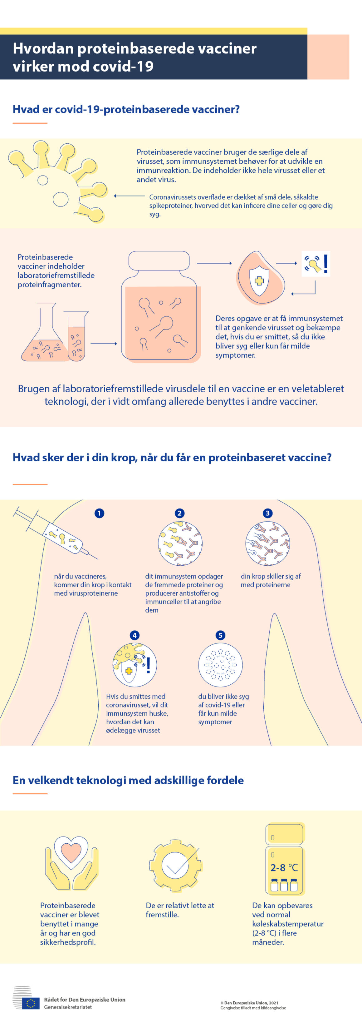 Infografik – Hvordan proteinbaserede vacciner virker mod covid-19