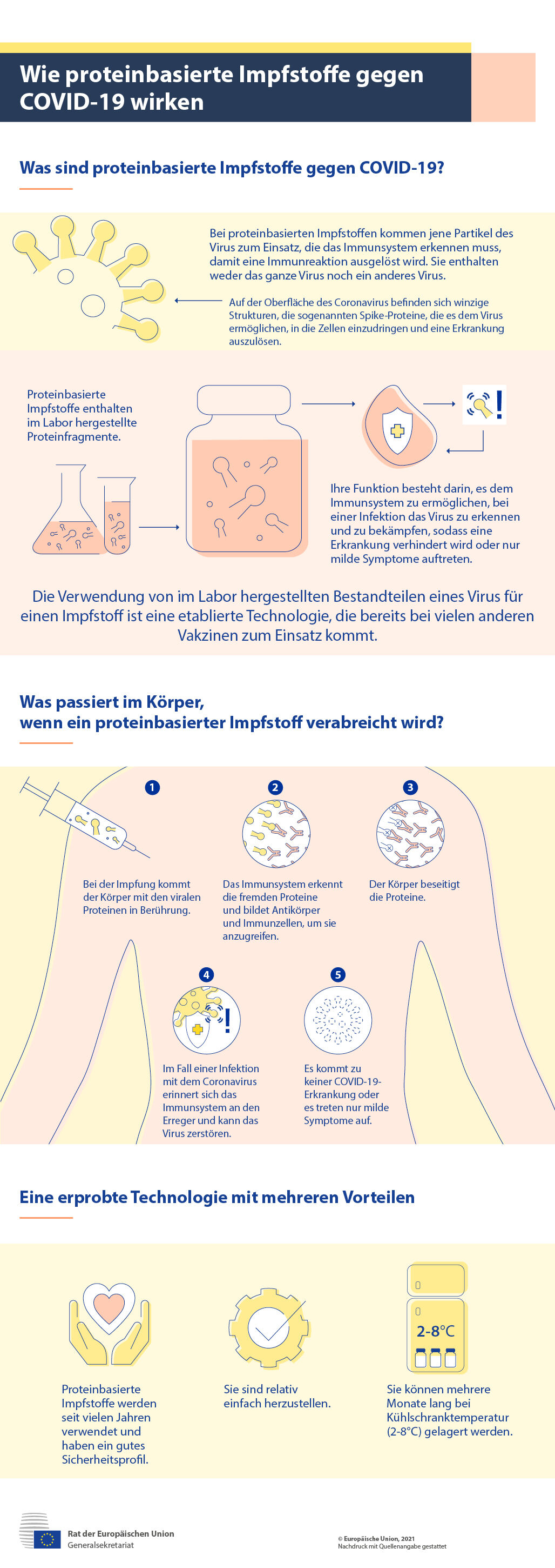 Infografik – Wie proteinbasierte Impfstoffe gegen COVID-19 wirken