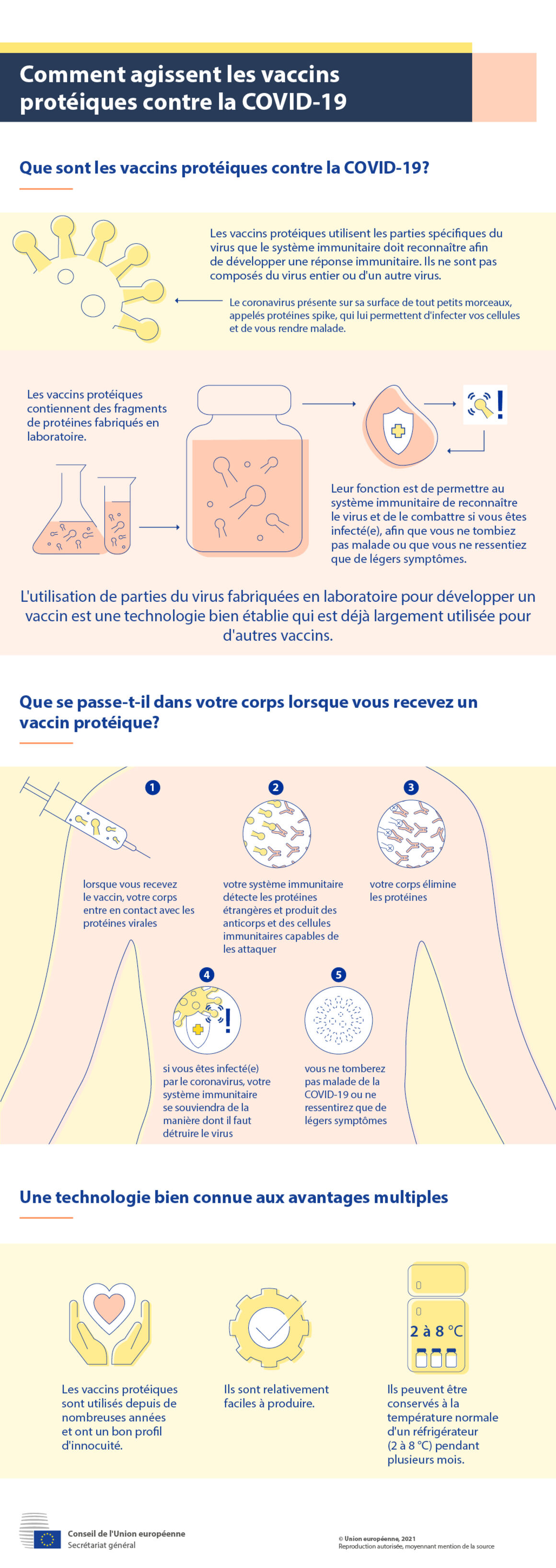 Infographie - Comment agissent les vaccins protéiques contre la COVID-19