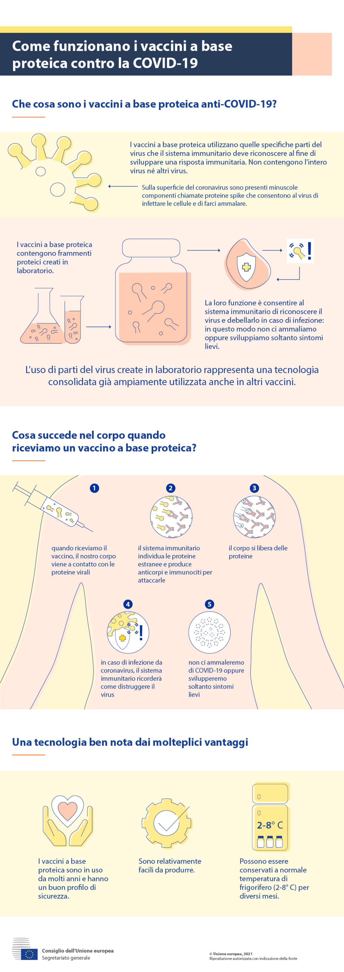 Infografica - Come funzionano i vaccini a base proteica contro la COVID-19