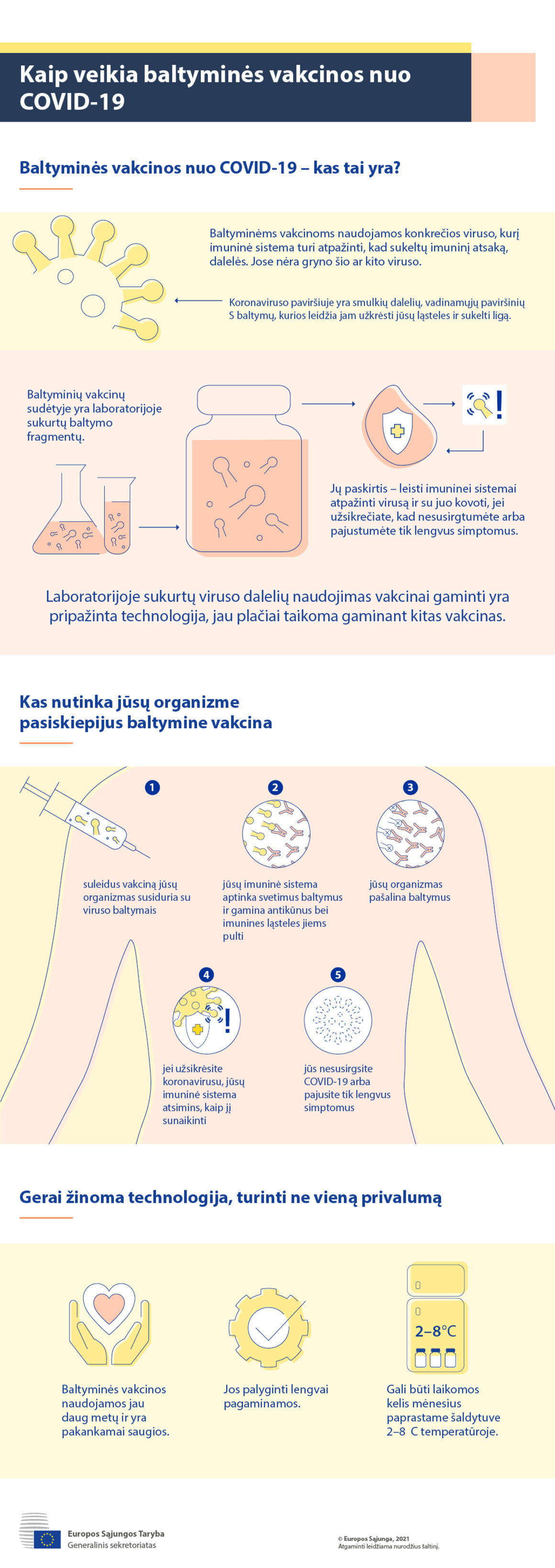 Infografikas. Kaip veikia baltyminės vakcinos nuo COVID-19