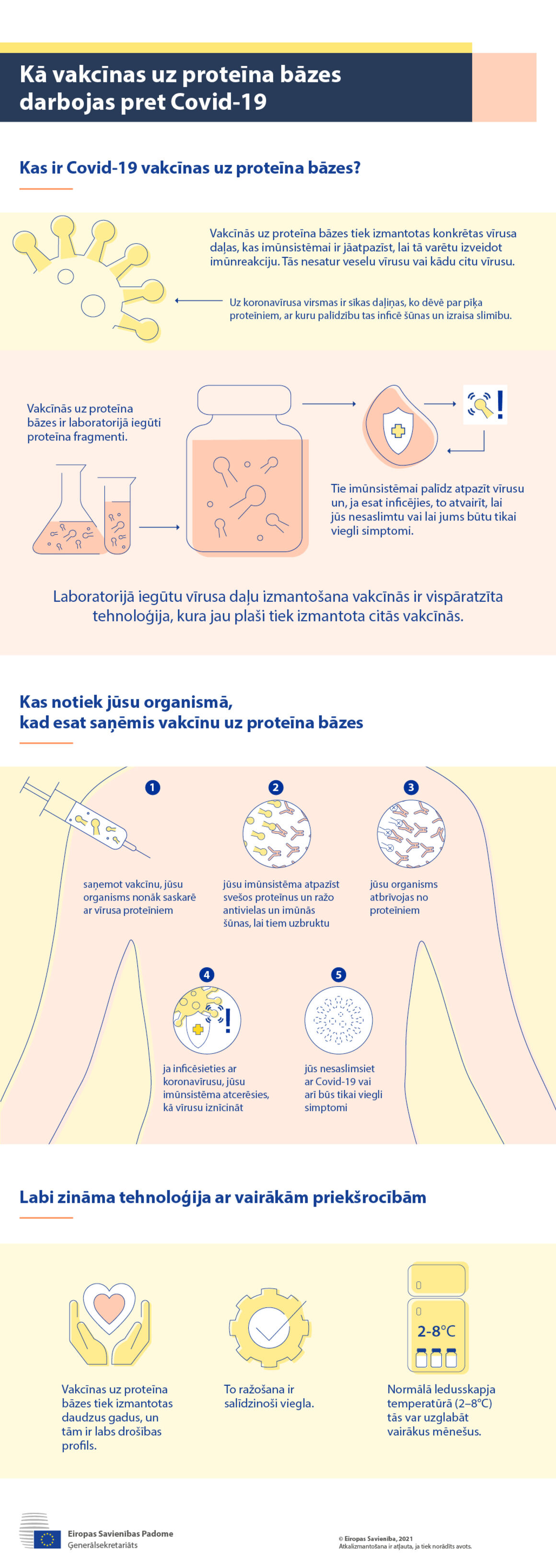 Infografika – Kā vakcīnas uz proteīna bāzes darbojas pret Covid-19