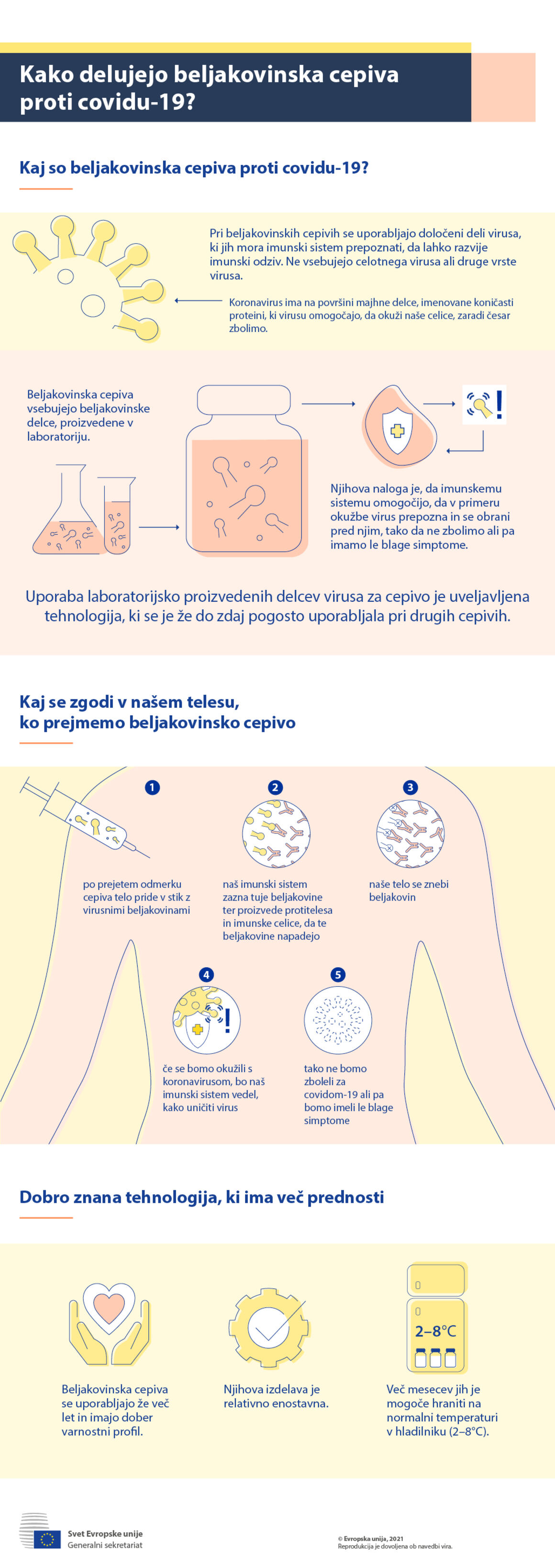 Infografika – Kako delujejo beljakovinska cepiva proti covidu-19?