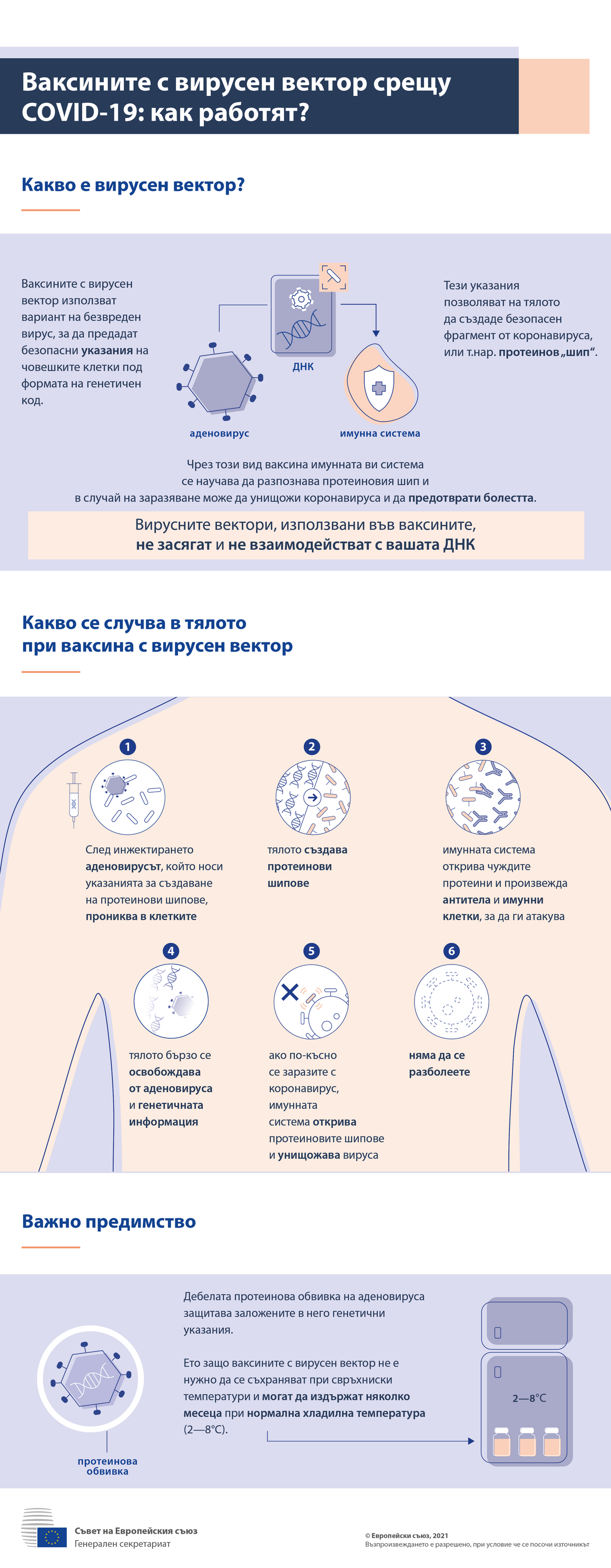 Инфографика — ваксини с вирусен вектор срещу COVID-19: как действат