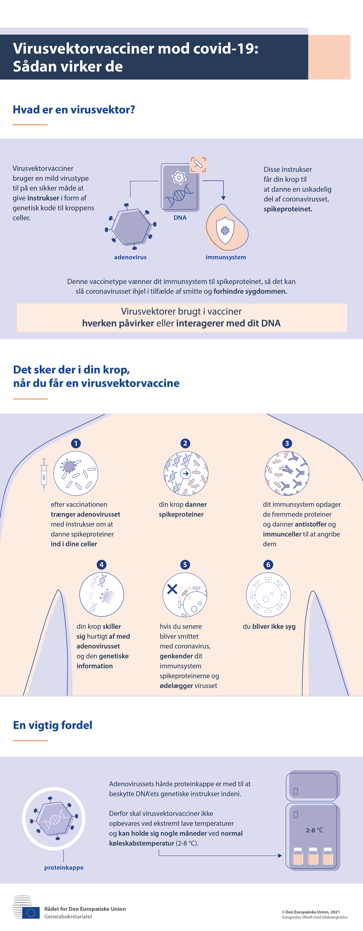 Infografik — Virusvektorvacciner mod covid-19: Sådan virker de