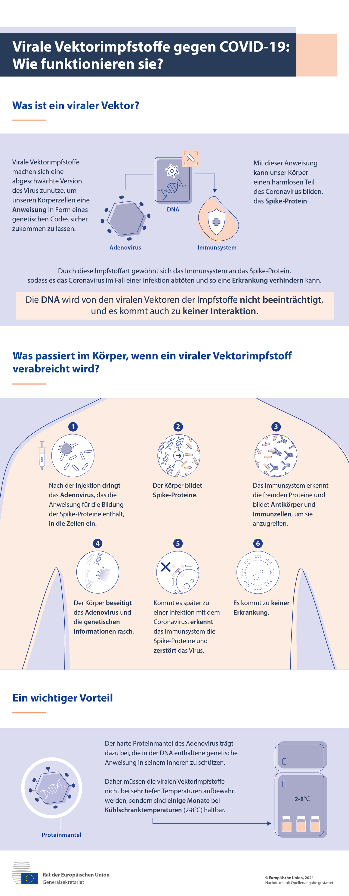 Infografik – Virale Vektorimpfstoffe gegen COVID-19: Wie funktionieren sie