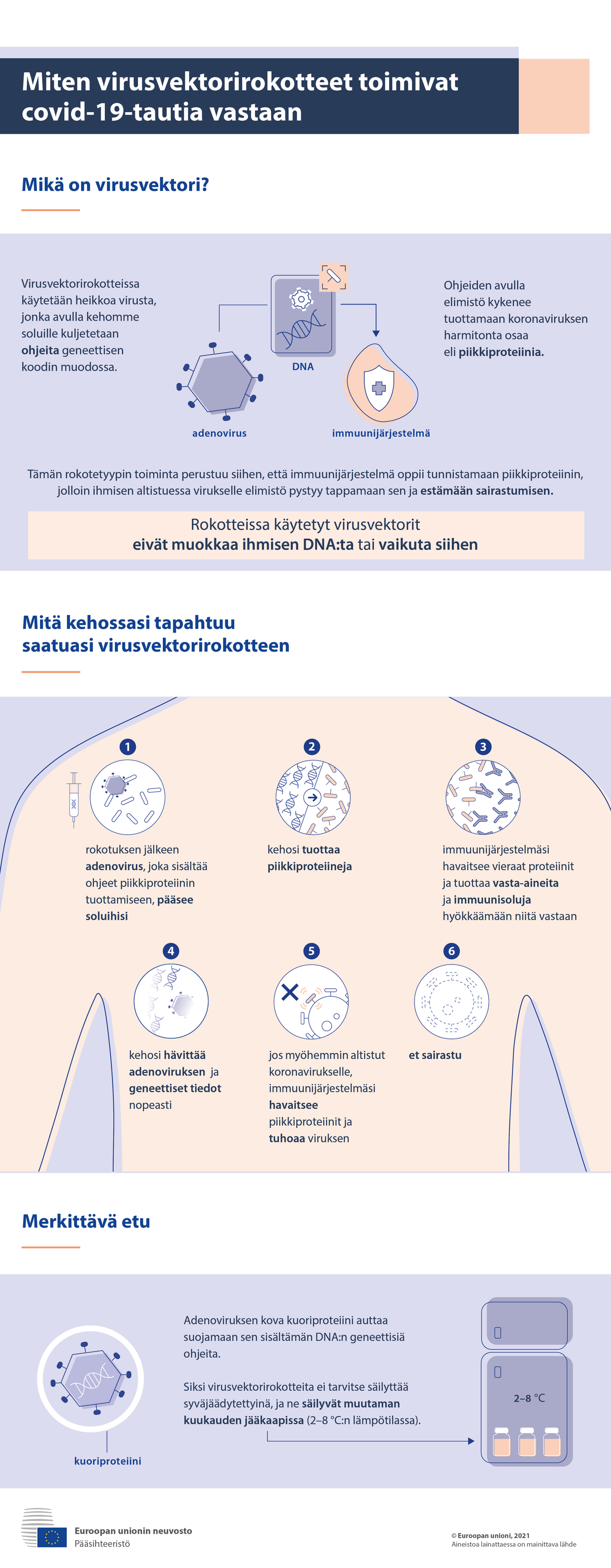 Infograafi – Näin virusvektorirokotteet toimivat covid-19-tautia vastaan