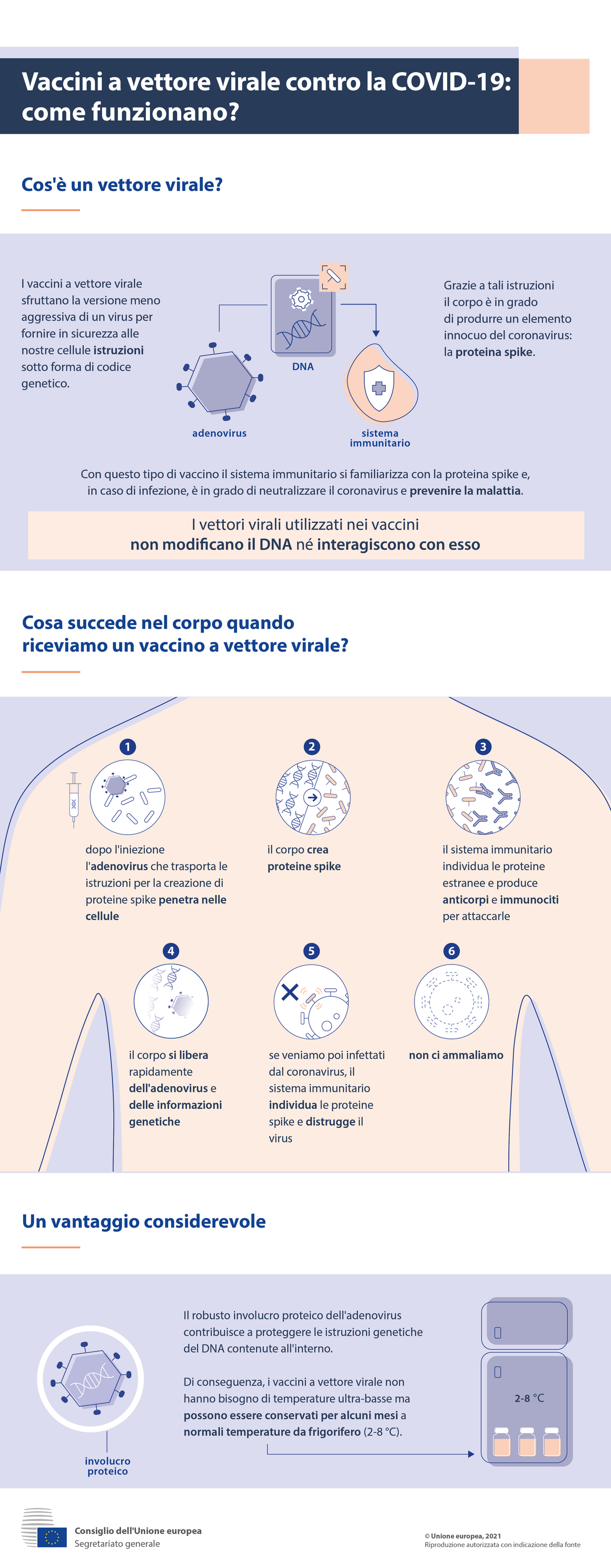 Infografica - Vaccini a vettore virale contro la Covid-19: come funzionano?