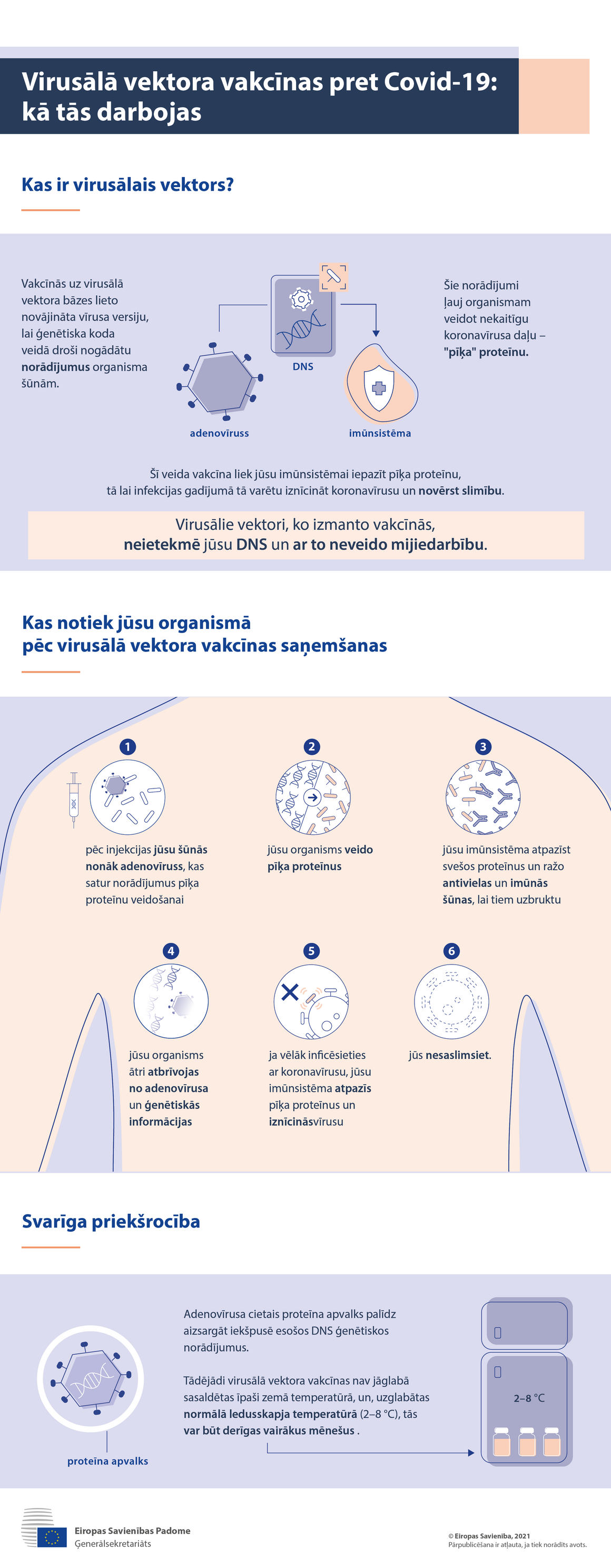 Infografika – Vīrusa vektora vakcīnas pret Covid-19: kā tās darbojas