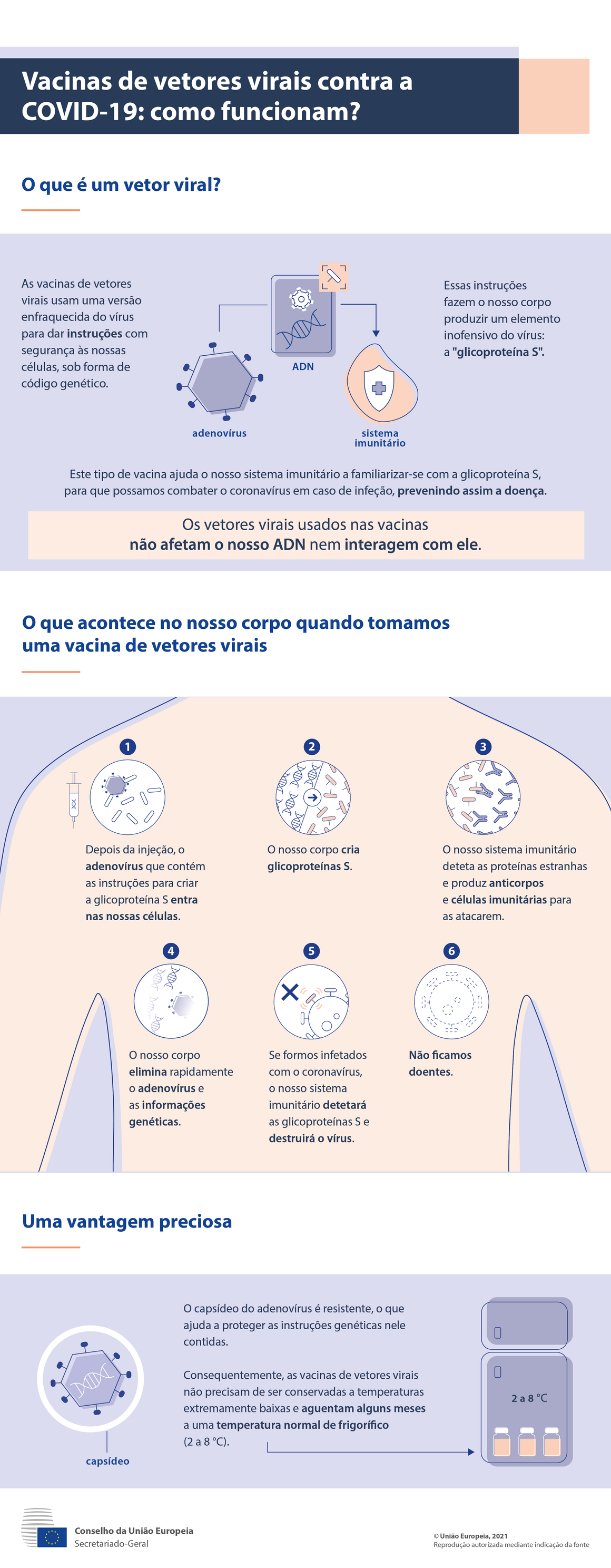 Infografia — Vacinas de vetor viral contra a COVID-19: como funcionam?