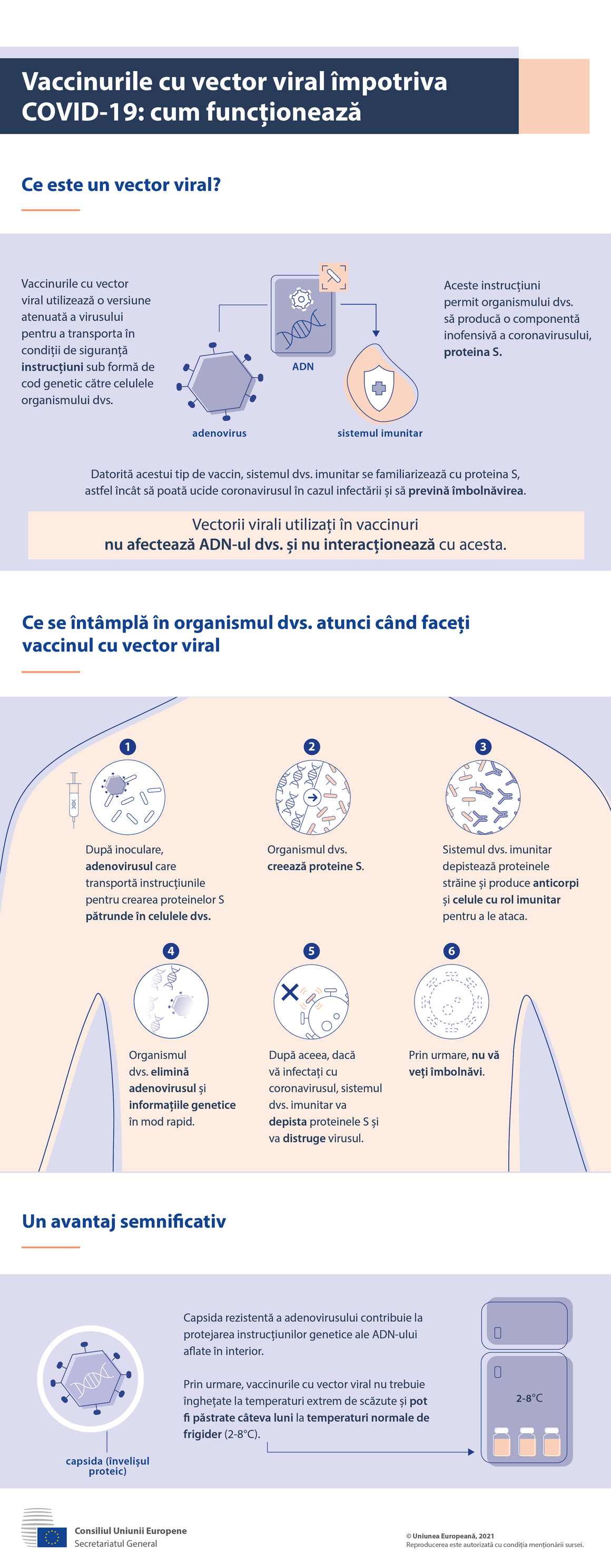 Infografic - Vaccinuri cu vector viral împotriva COVID-19: cum acționează