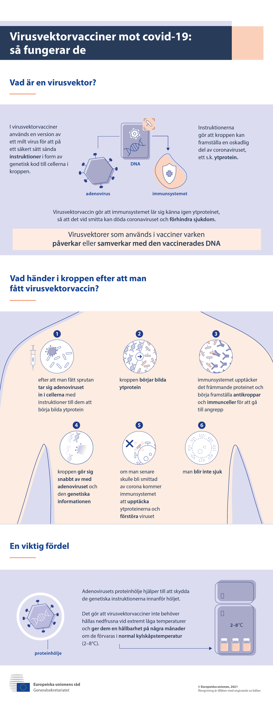 Infografik – Virusvektorvacciner mot covid-19: så fungerar de