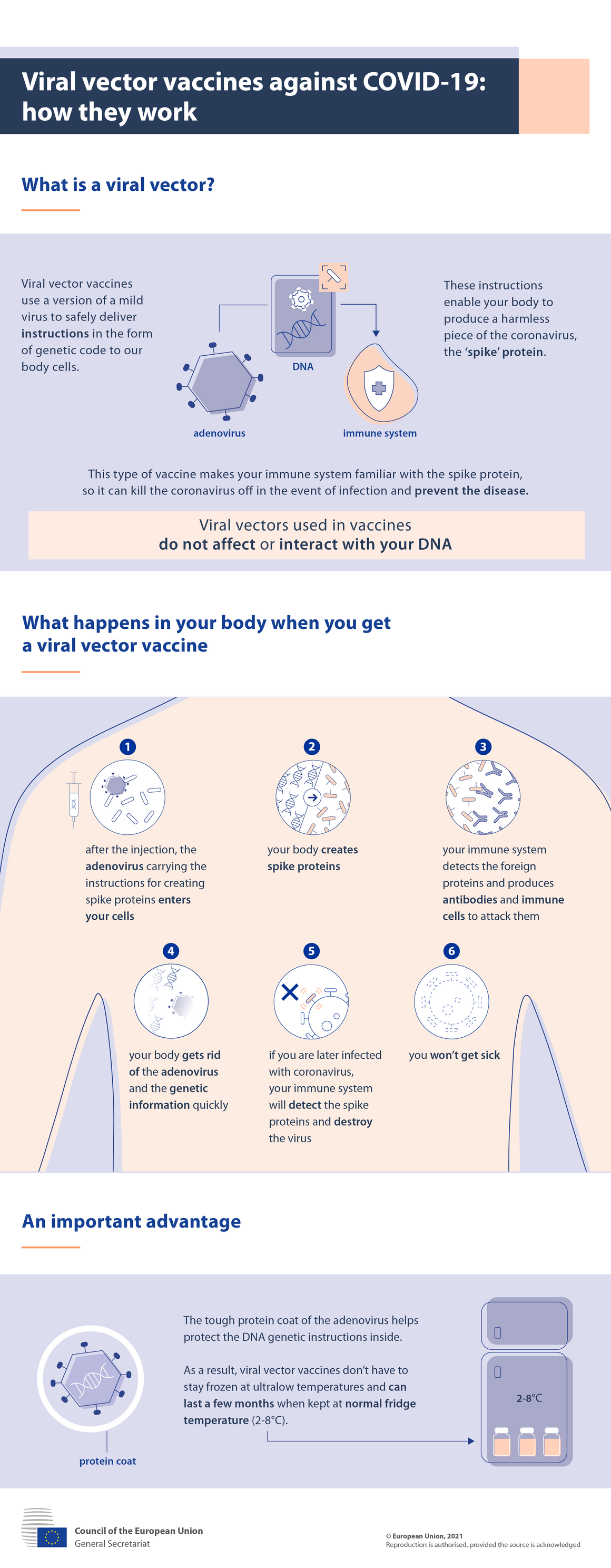 Infographic. Viral vector vaccines against COVID-19: how they work