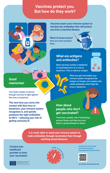 Vaccines protect you. But how do they work?