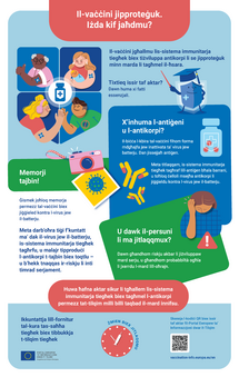Il‑vaċċini jipproteġuk. Iżda kif jaħdmu?